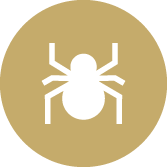 phobias