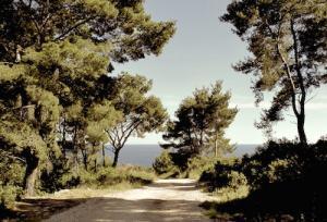 Hypnosis for Relationship Anxiety