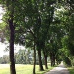 Hypnotherapy for weight loss