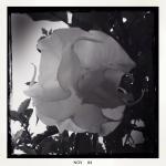 Time Line Hypnotherapy Sydney